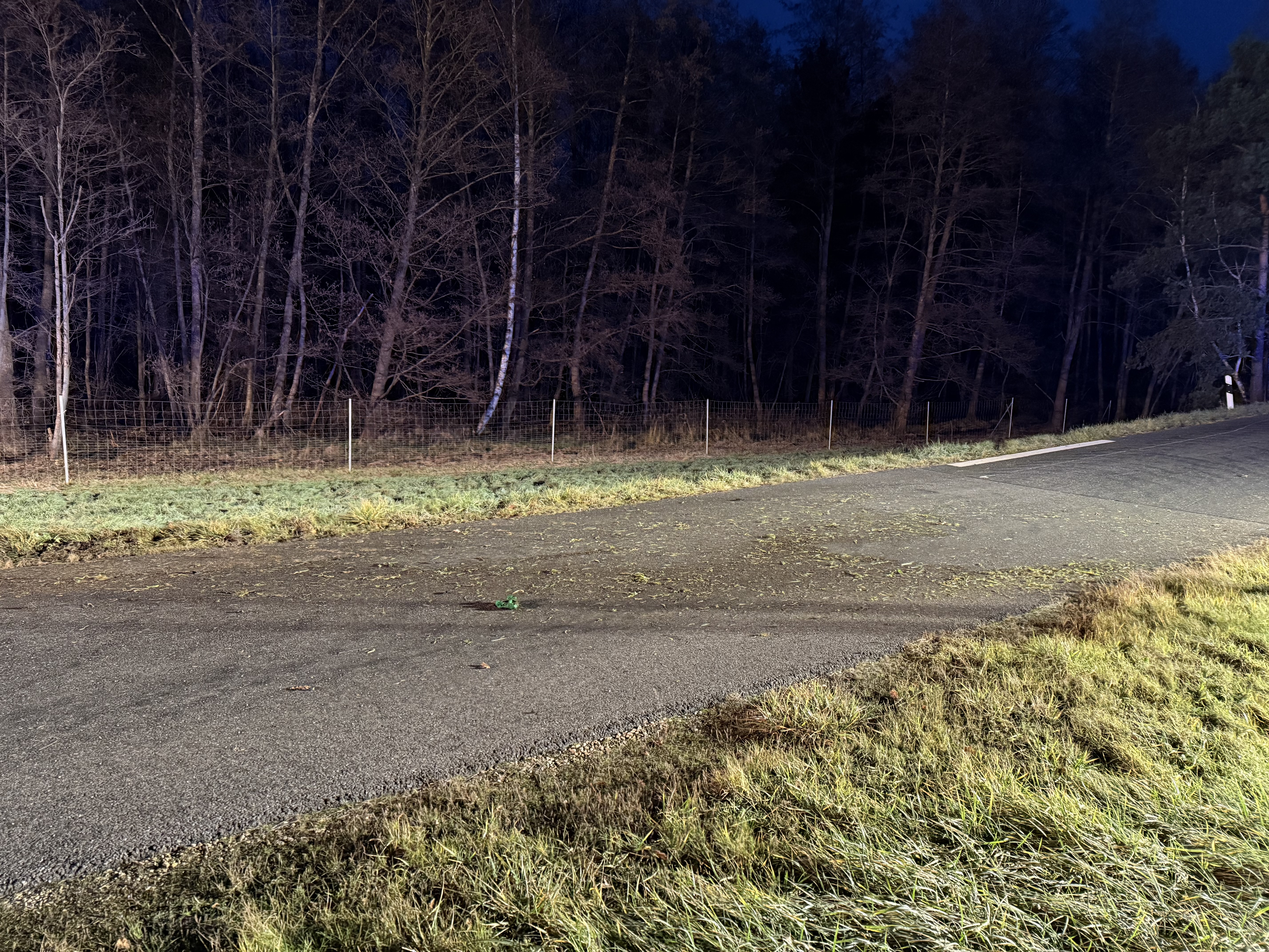 24-12-21 07-25-31 9482.jpg